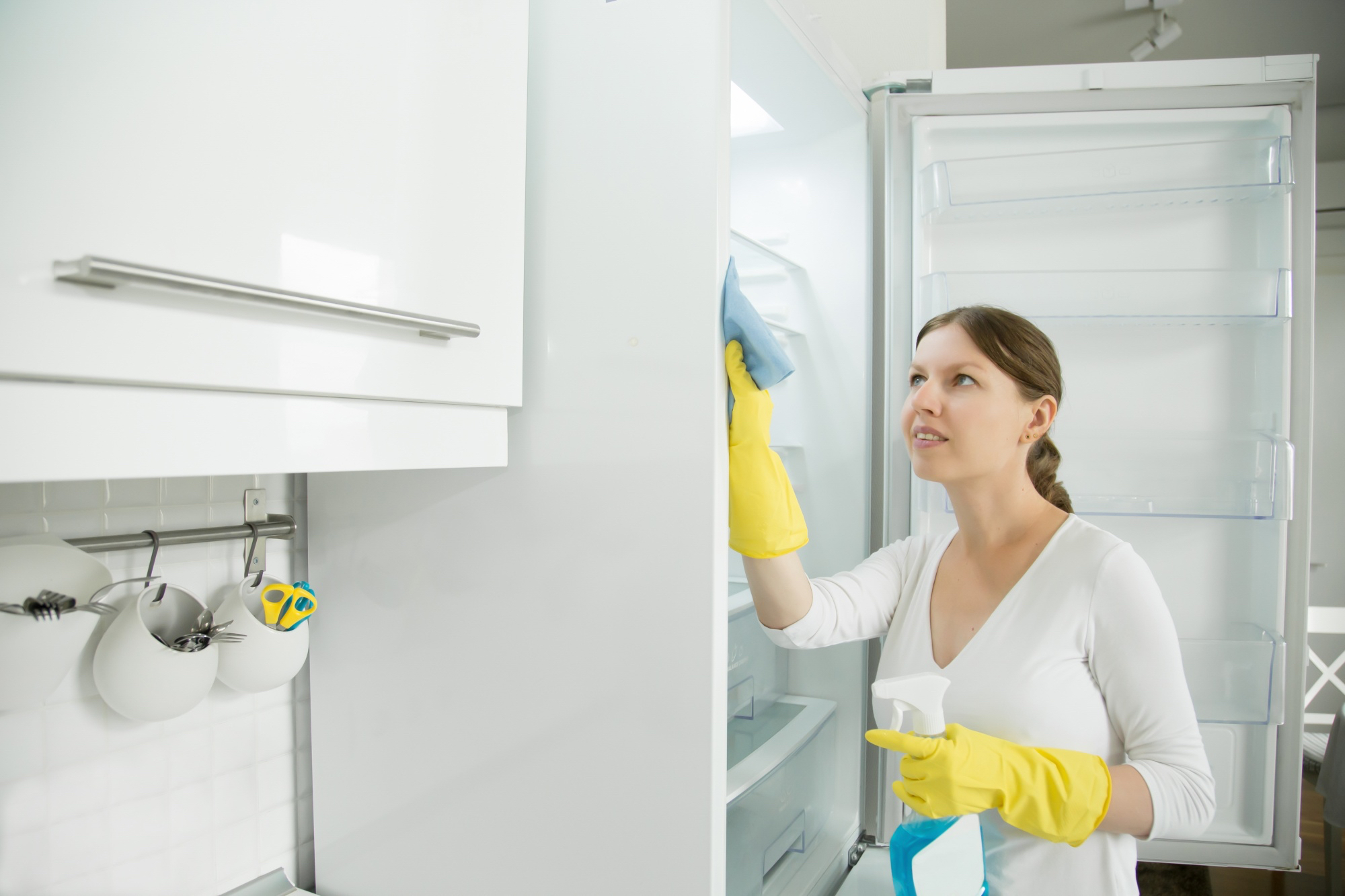 Fridge Interior Cleaning