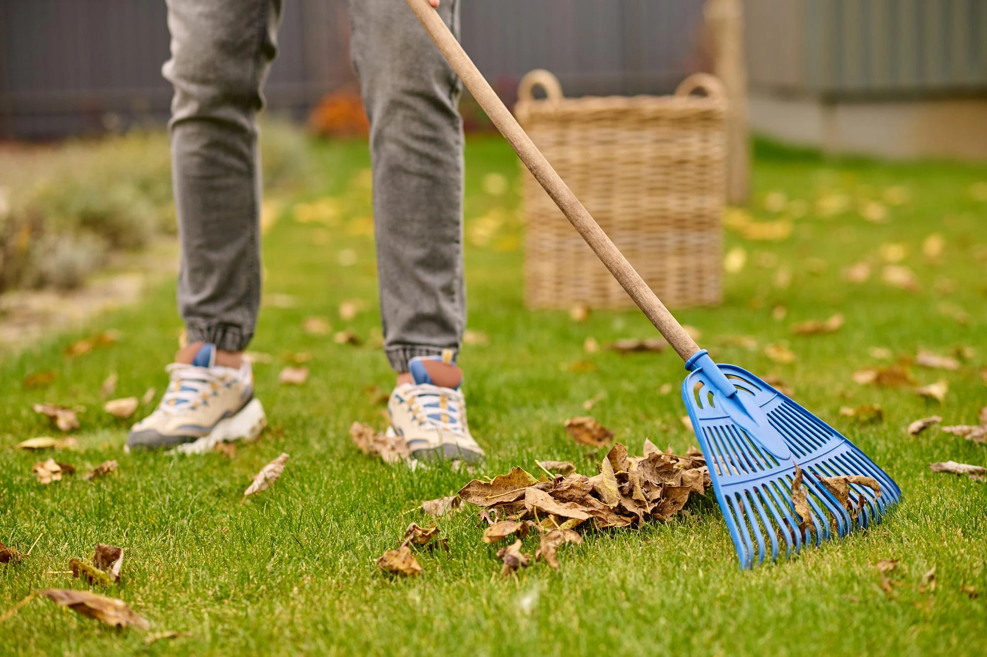 Fall Cleaning