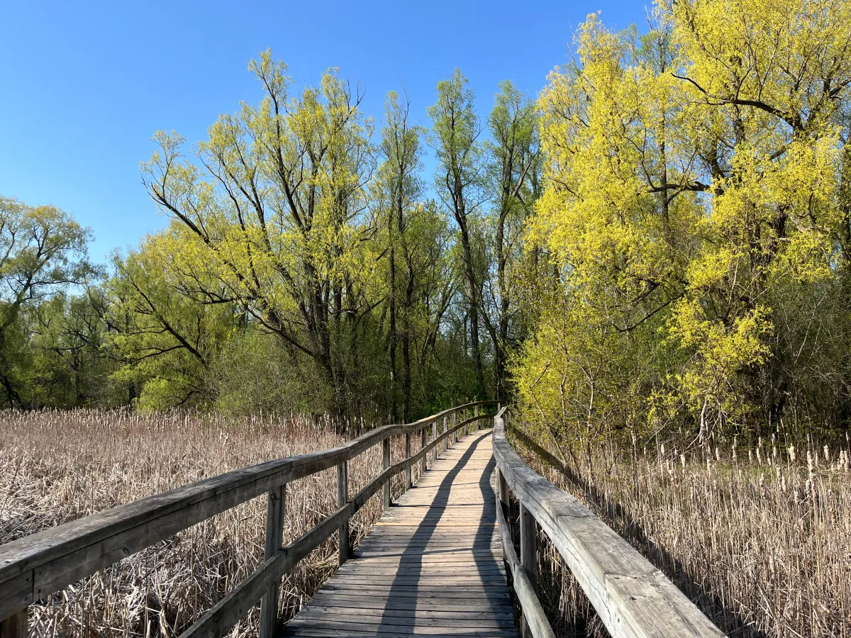 Toogood Pond Park Markham