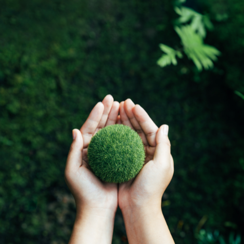 Climate Action