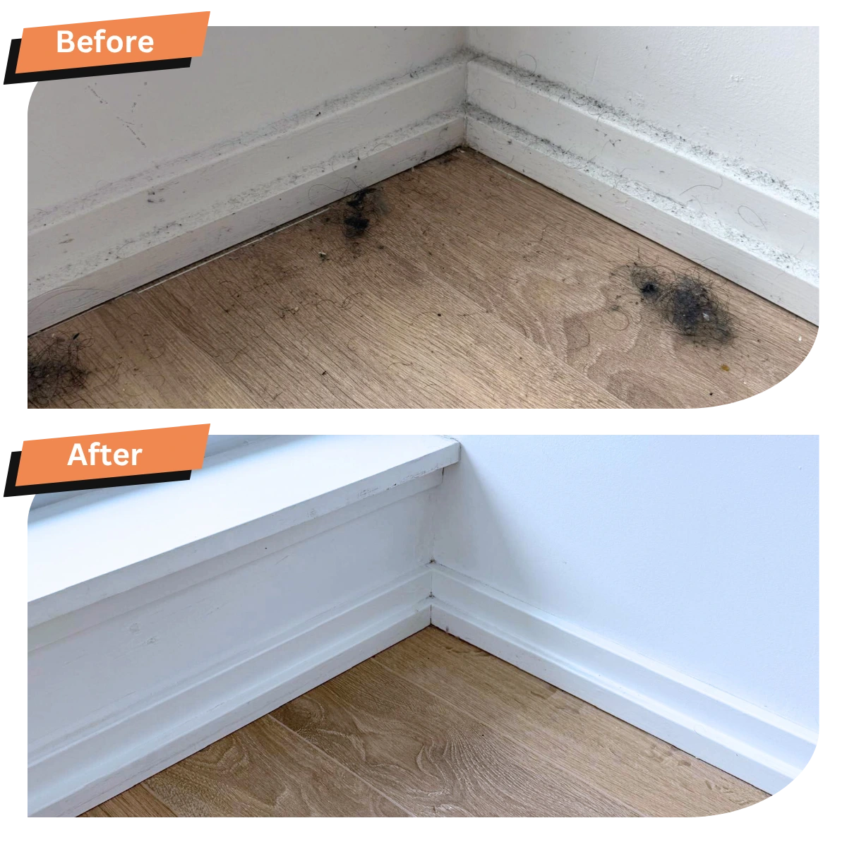 Floor and Baseboard Clean